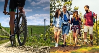 I CORSI PER LE PROFESSIONI TURISTICHE  - Abilitazioni professionali e Specializzazione IFTS